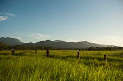 Reiseziel 2014: Guyana, Südamerika