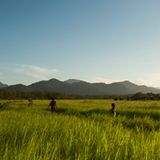 Reiseziel 2014: Guyana, Südamerika