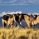 Ein Mann, zwei Pferde