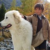 Fotostrecke: Kinotipp: Belle & Sebastian