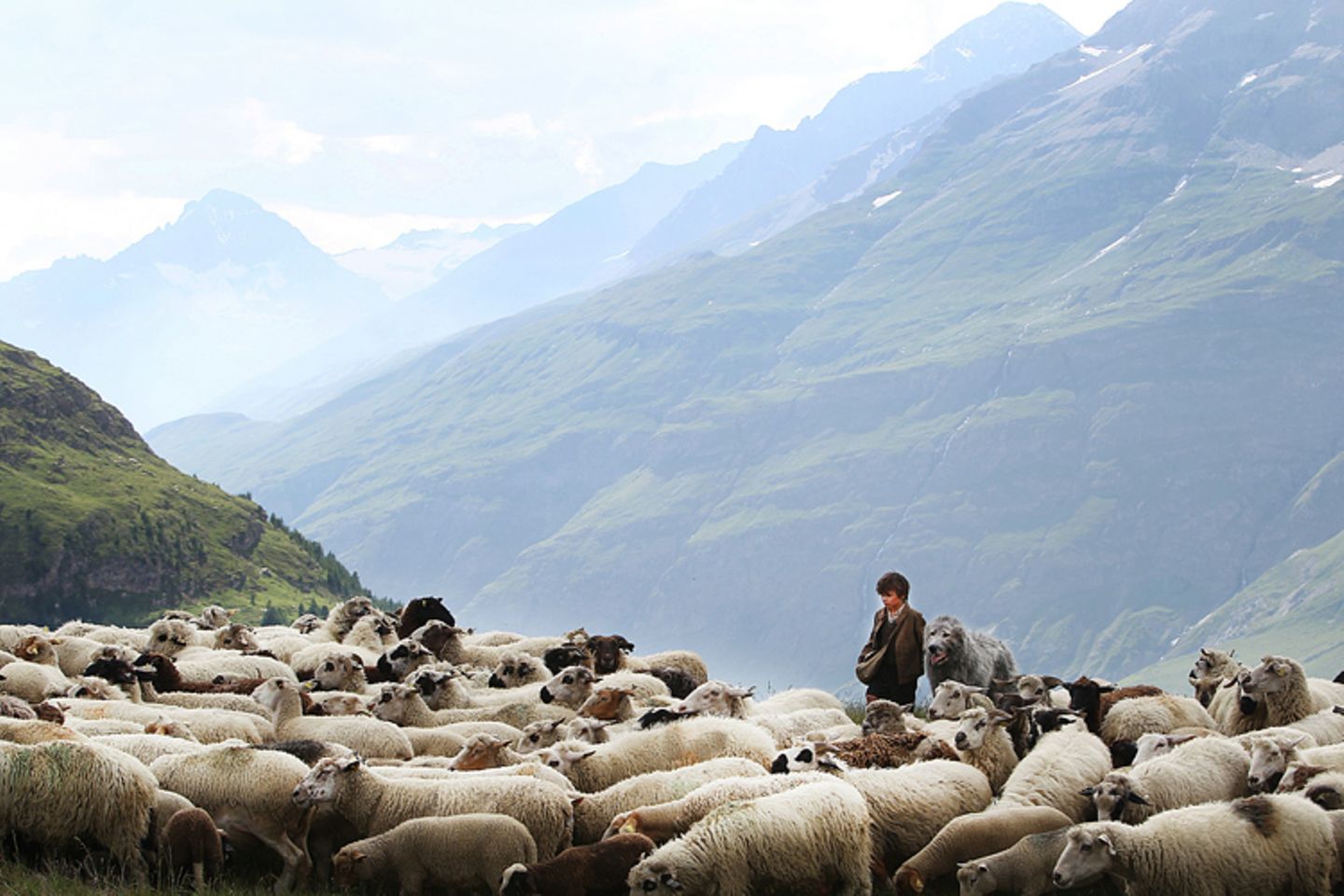 Fotostrecke: Kinotipp: Belle & Sebastian - Bild 4