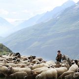 Fotostrecke: Kinotipp: Belle & Sebastian - Bild 4