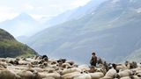 Fotostrecke: Kinotipp: Belle & Sebastian - Bild 4