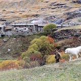 Fotostrecke: Kinotipp: Belle & Sebastian - Bild 5