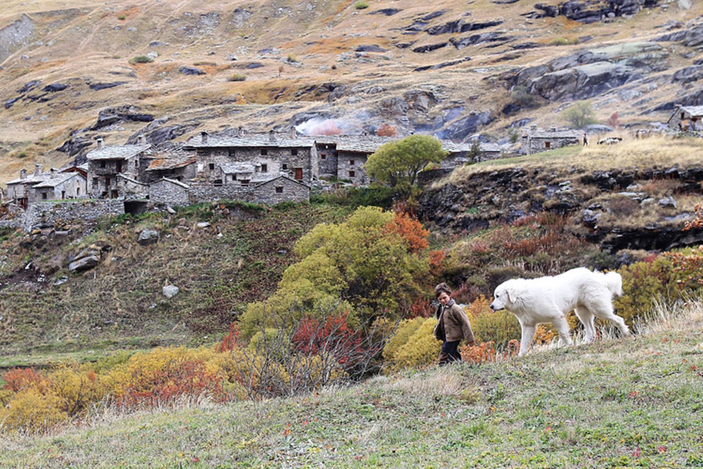 Fotostrecke: Kinotipp: Belle & Sebastian - Bild 5