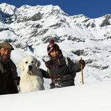 Fotostrecke: Kinotipp: Belle & Sebastian - Bild 9