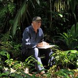 Das Geheimnis der Bäume