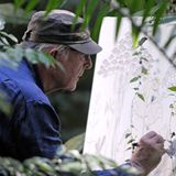 Das Geheimnis der Bäume