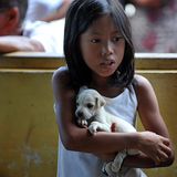 Fotostrecke: Tiere retten, Menschen helfen!