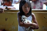 Fotostrecke: Tiere retten, Menschen helfen!