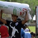 Fotostrecke: Tiere retten, Menschen helfen! - Bild 3