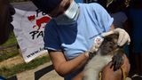 Fotostrecke: Tiere retten, Menschen helfen! - Bild 4