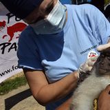 Fotostrecke: Tiere retten, Menschen helfen! - Bild 4