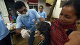 Fotostrecke: Tiere retten, Menschen helfen! - Bild 7