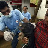 Fotostrecke: Tiere retten, Menschen helfen! - Bild 7