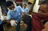Fotostrecke: Tiere retten, Menschen helfen! - Bild 7