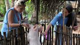 Fotostrecke: Tiere retten, Menschen helfen! - Bild 8