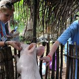 Fotostrecke: Tiere retten, Menschen helfen! - Bild 8