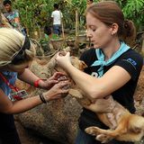 Fotostrecke: Tiere retten, Menschen helfen! - Bild 9