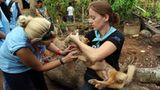 Fotostrecke: Tiere retten, Menschen helfen! - Bild 9