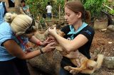 Fotostrecke: Tiere retten, Menschen helfen! - Bild 9