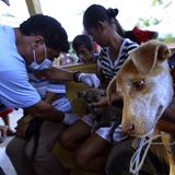 Fotostrecke: Tiere retten, Menschen helfen! - Bild 10