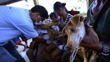 Fotostrecke: Tiere retten, Menschen helfen! - Bild 10