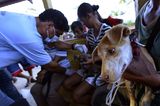 Fotostrecke: Tiere retten, Menschen helfen! - Bild 10