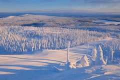 Schneesicher: Kuusamo und Ruka in Finnland