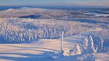 Schneesicher: Kuusamo und Ruka in Finnland