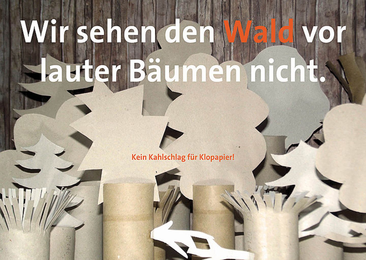 Schüler schützen den Regenwald - Bild 2
