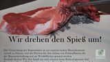 Schüler schützen den Regenwald - Bild 5