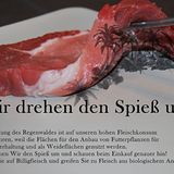 Schüler schützen den Regenwald - Bild 5