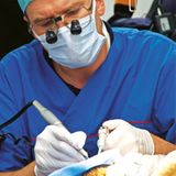 Fotostrecke: Au, Backe! - Bild 2