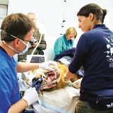 Fotostrecke: Au, Backe! - Bild 3