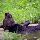 Fotostrecke: Au, Backe! - Bild 4