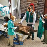 Fotostrecke: Au, Backe! - Bild 7