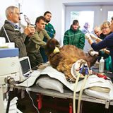 Fotostrecke: Au, Backe! - Bild 8