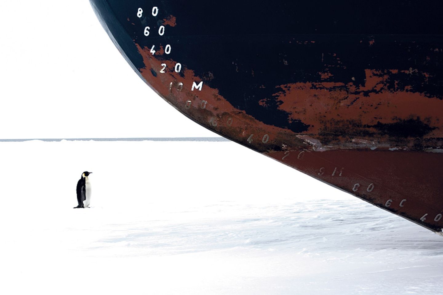 Last Ocean