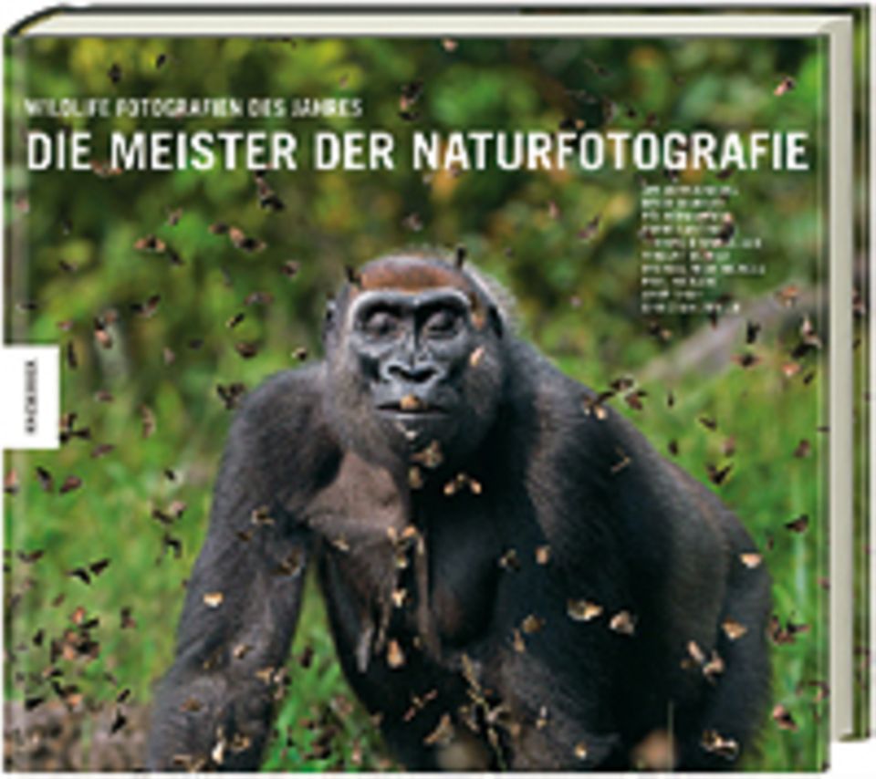 Fotogalerie: Jim Brandenburg u.a. Die Meister der Naturfotografie Knesebeck Verlag 2013 224 Seiten, 39,95 Euro