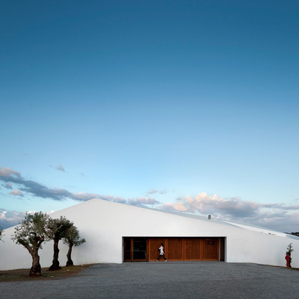Portugal: L'and Vineyards