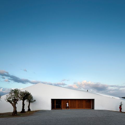 Portugal: L'and Vineyards