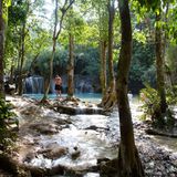 Tat Kuang Si Wasserfall, Luang Prabang, Laos