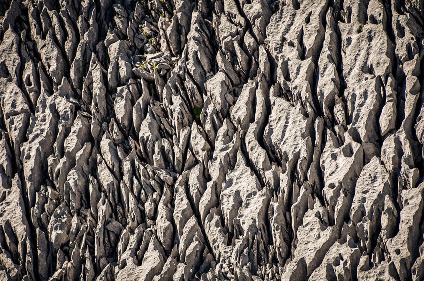 Detailaufnahme