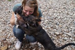 Tierschutz: Neues Leben für Streunerhunde - Bild 3