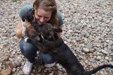 Tierschutz: Neues Leben für Streunerhunde - Bild 3