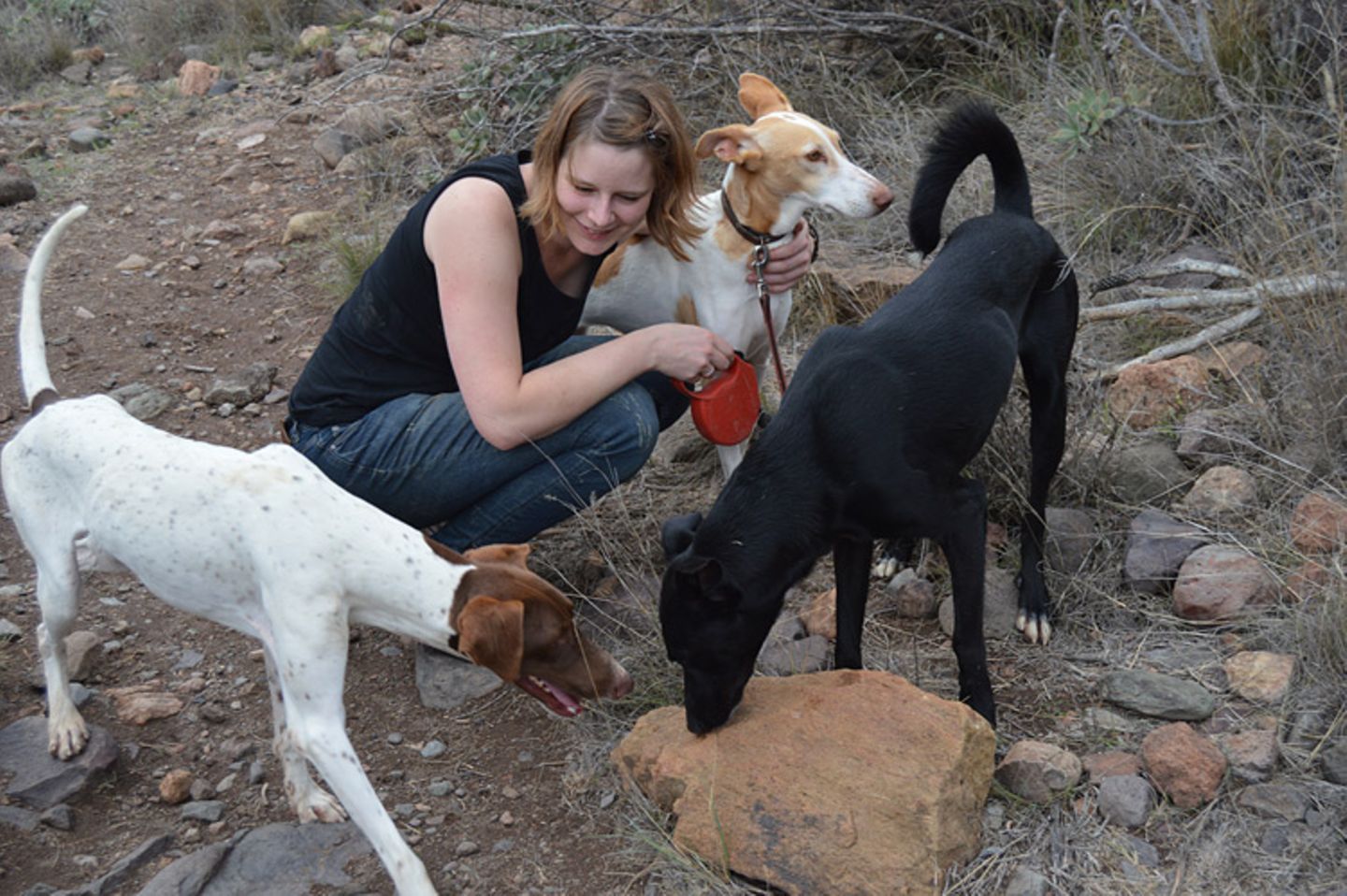 Tierschutz: Neues Leben für Streunerhunde - Bild 5