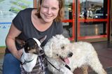 Tierschutz: Neues Leben für Streunerhunde - Bild 17