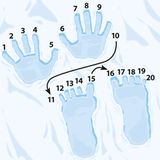 Mathematik: Abenteuer Mathe: Geschichte der Zahlen - Bild 6