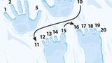 Mathematik: Abenteuer Mathe: Geschichte der Zahlen - Bild 6